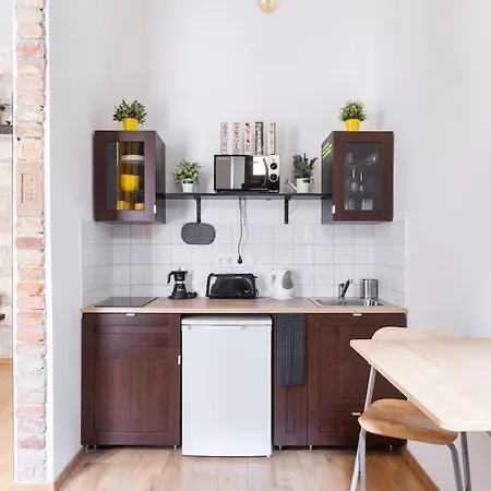 Vintage Style Cozy Downtown Apartment. *